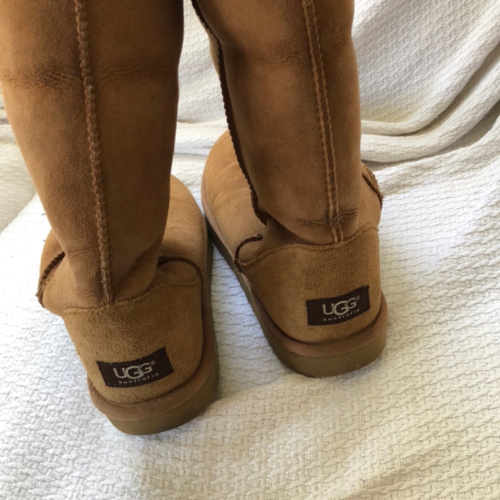 Classic Uggs - image 5